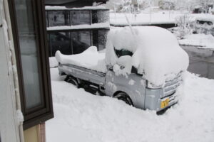 新潟も雪が積もりました。