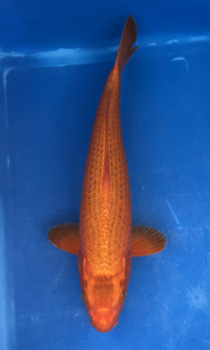 GA02-05